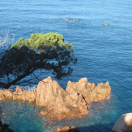 Nuvola Bianca Villa Costa Paradiso